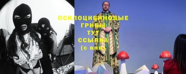 mix Кодинск