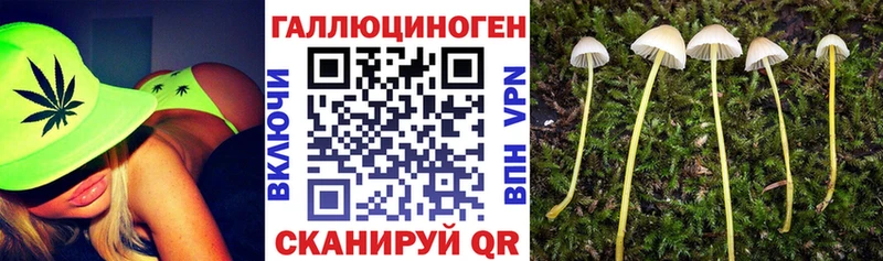 Псилоцибиновые грибы мухоморы  Магнитогорск 