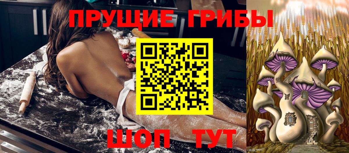Галлюциногенные грибы прущие грибы Магнитогорск